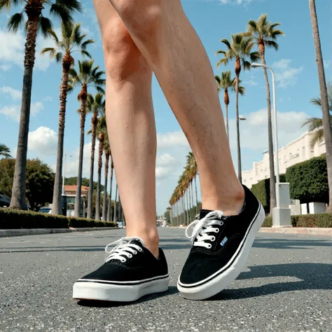 Vans Era/Authentic