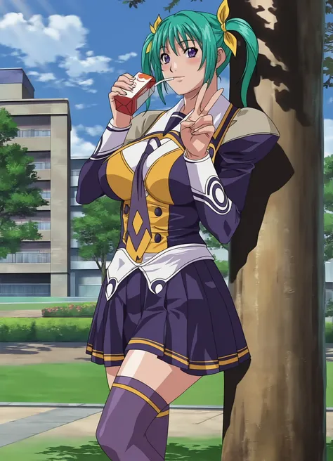 Nonomiya Ruri (Hentai: Discipline: Record of a Crusade) NoobAI / IL / Pony / SD1.5