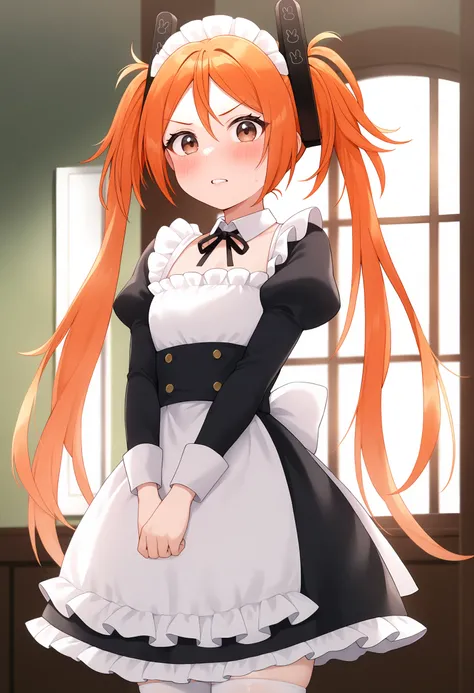 Enju Aihara (Black Bullet) [IllustriousXL]