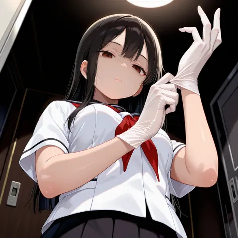 Medical Gloves / 医療用手袋