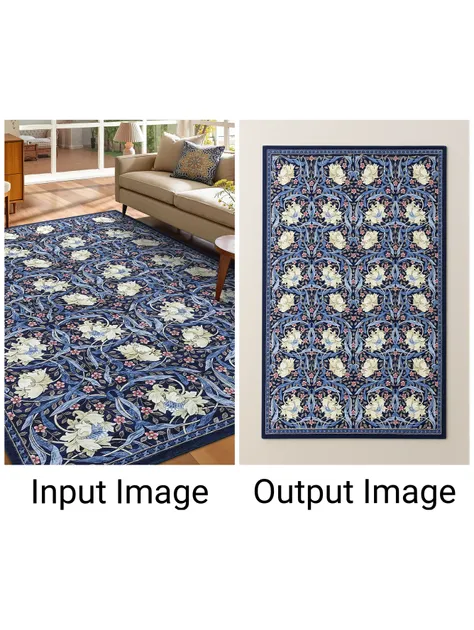 Kontext-Extract the carpet地毯提取