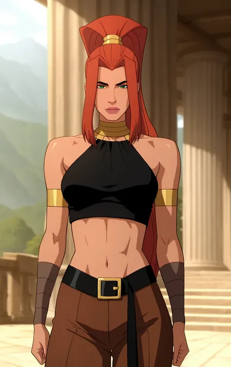 Artemis DCAU
