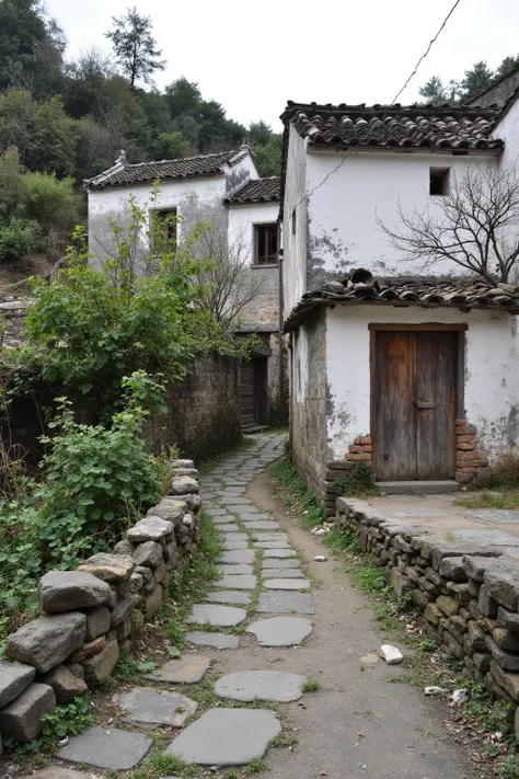 DJ_Present Rural Scenery_Restoration Of Ancient Village Scenery