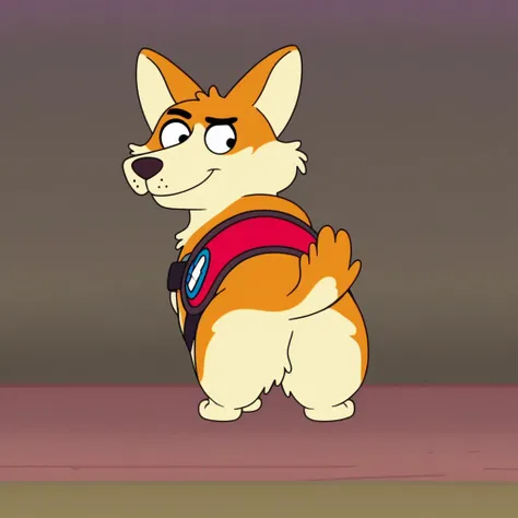 Elsa Nicole Corgi (Housebroken)