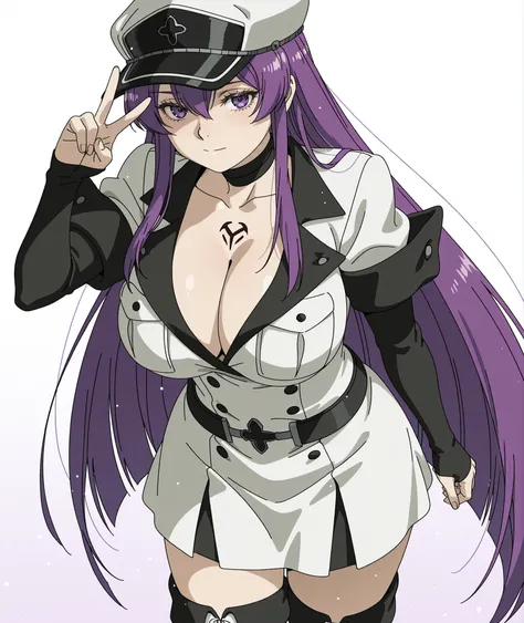 LoRA / illustriousXL / Esdeath from Akama ga Kill (Cosplay+Character)