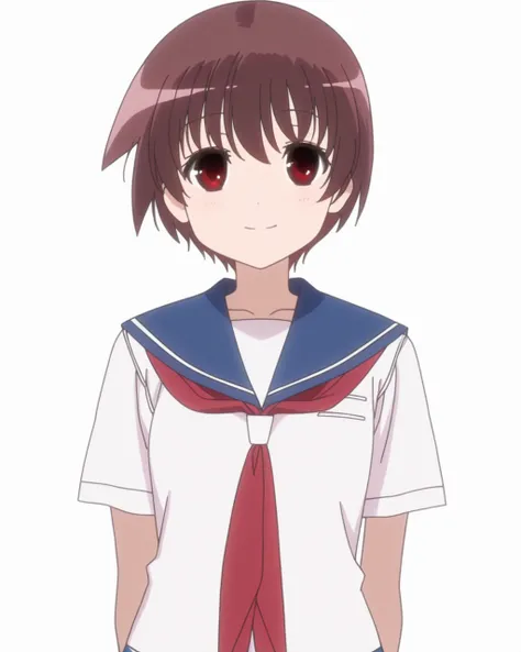 [IL] Saki Miyanaga - Saki