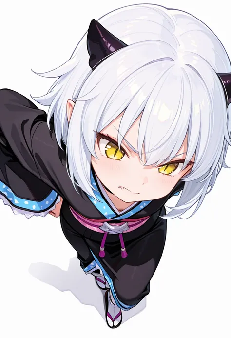 Shiroyasha | Mondaiji-tachi ga Isekai kara Kuru Sou desu yo