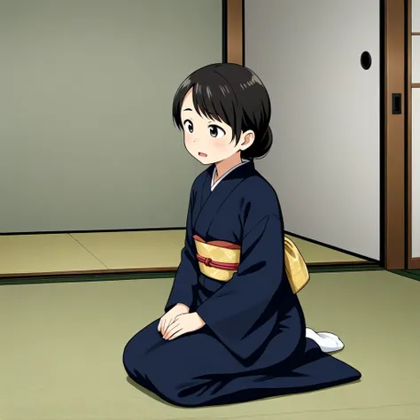 seiza_and_wariza
