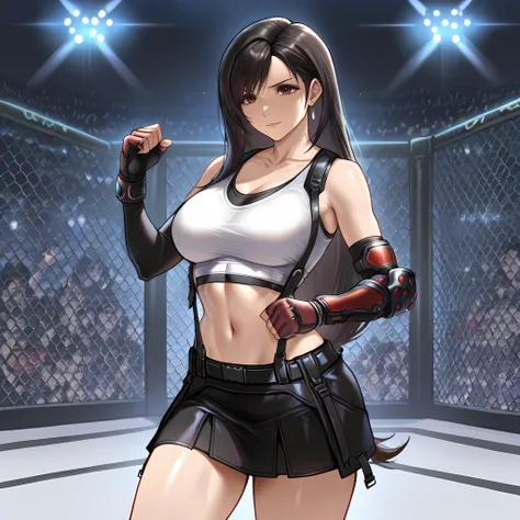 UFC Octagon