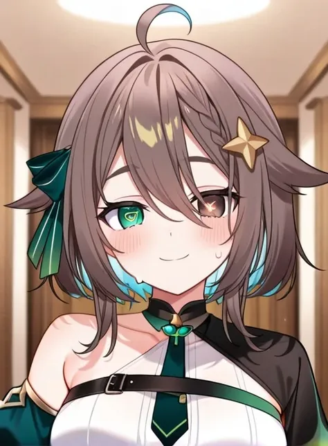Meica05 (vtuber) IL