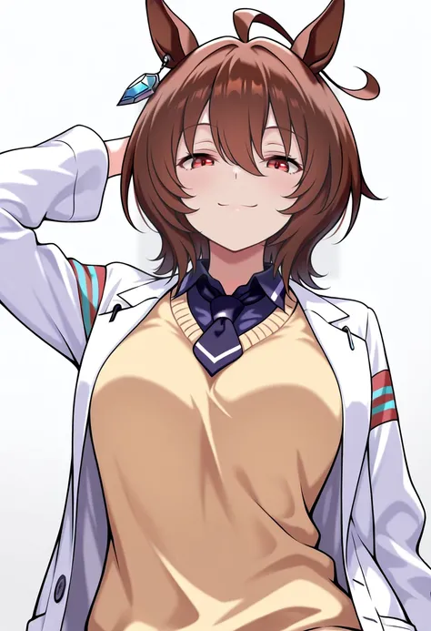 Agnes Tachyon / Umamusume / Illustrious