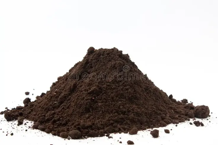 ğsğsğsğaacad