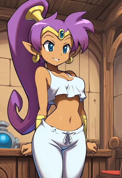Shantae and the Pirates Curse Style [Anima/Illustrious]