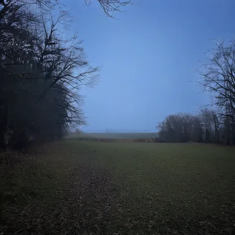 Haimhausen background