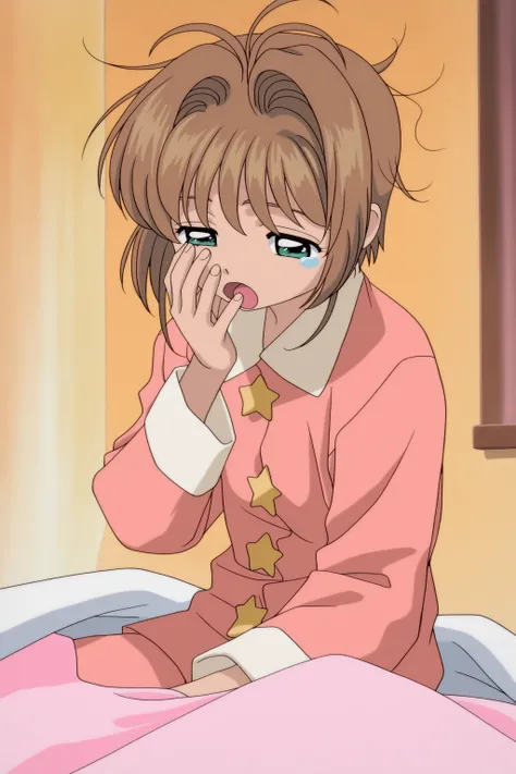 Cardcaptor Sakura Style〖カードキャプターさくら〗(Anima and NoobAI Support)
