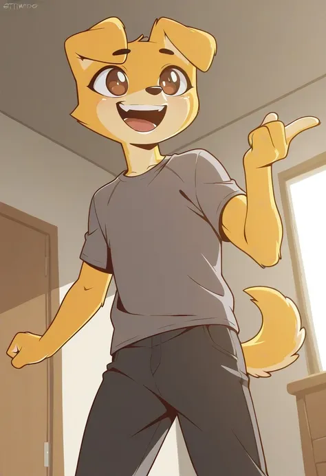Stim dog_rel_260420