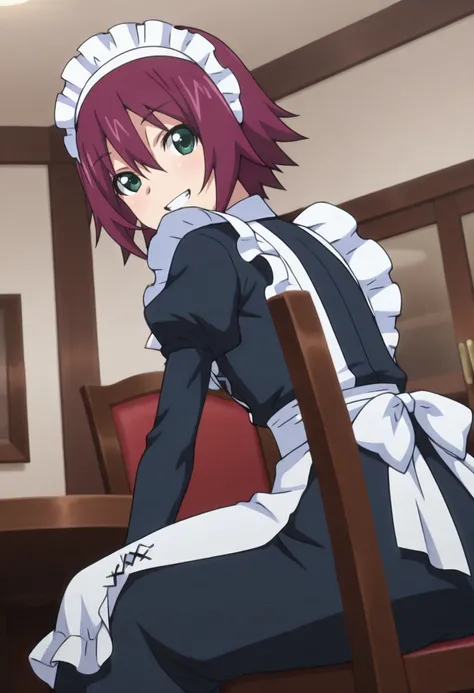 Cafe Manager - Infinite Stratos - 2 Outfits - Illustrious/SDXL
