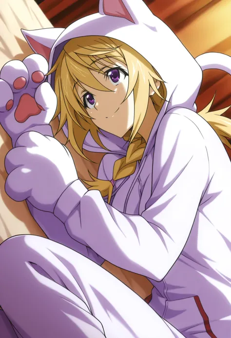 Charlotte Dunois - Infinite Stratos - 20 Outfits - Illustrious/SDXL
