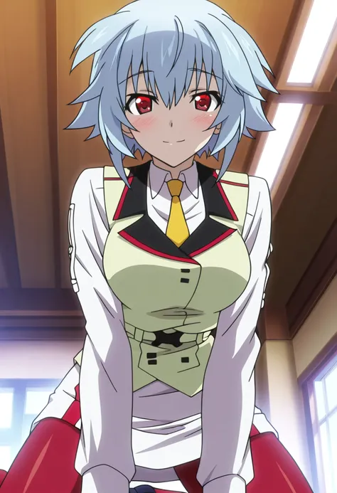 Tatenashi Sarashiki - Infinite Stratos - 8 Outfits - Illustrious/SDXL