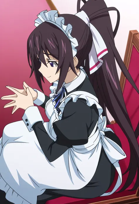 Houki Shinonono - Infinite Stratos - 24 Outfits - Illustrious/SDXL_rel_260420