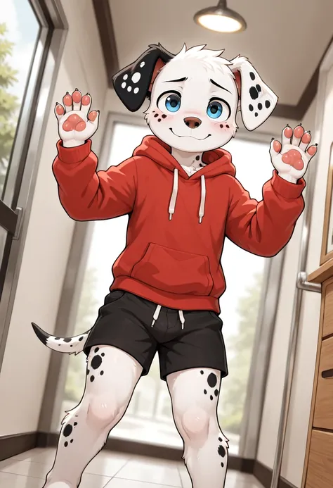 Ace