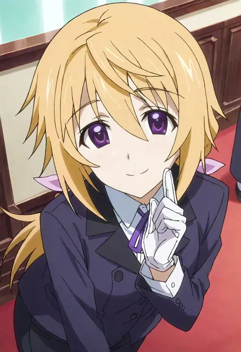 Charlotte Dunois - Infinite Stratos - 20 Outfits - Pony/SDXL