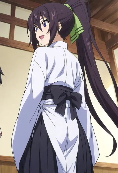 Houki Shinonono - Infinite Stratos - 24 Outfits - Pony/SDXL