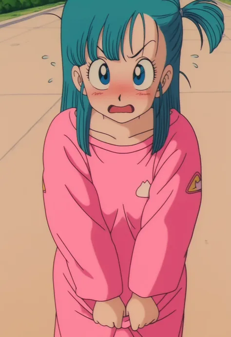 COMMISSION-Bulma-Dragon Ball Classic-IL
