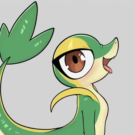 Nobody's Flashheart Snivy