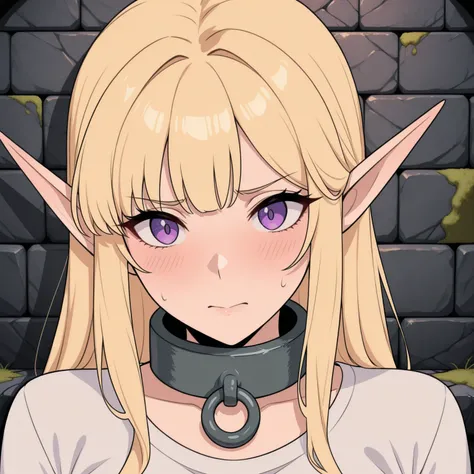 Big Metal Collar