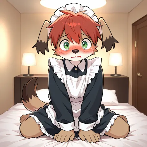 mamoru-kun