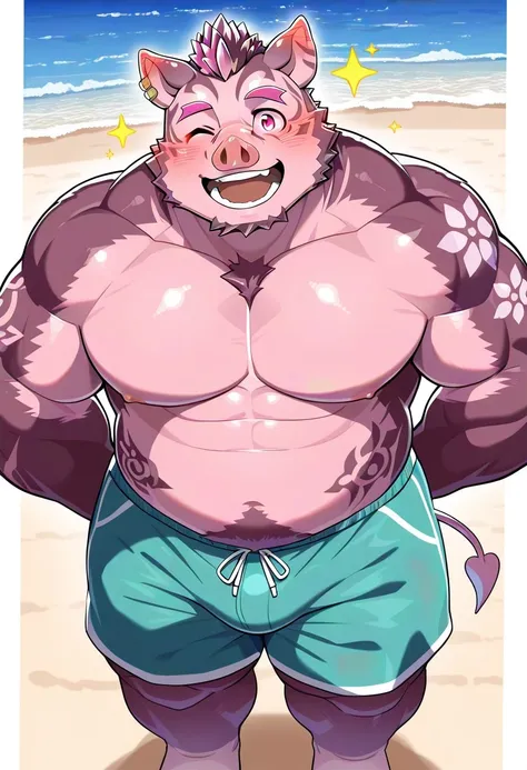 Ichisaru butasuke characters pig