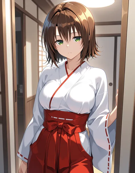 mikado ryoko to love ru-illustrious