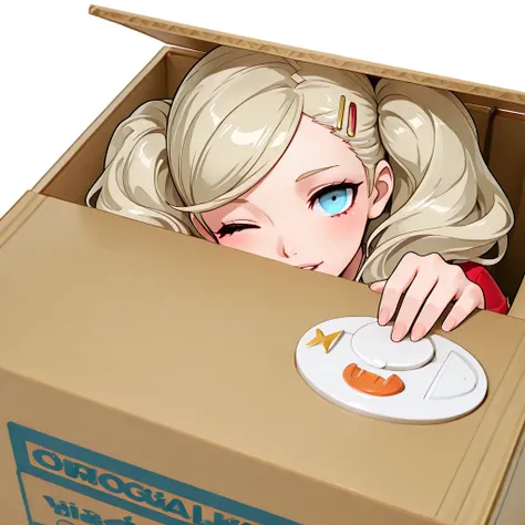Useless machine (hiding in box)