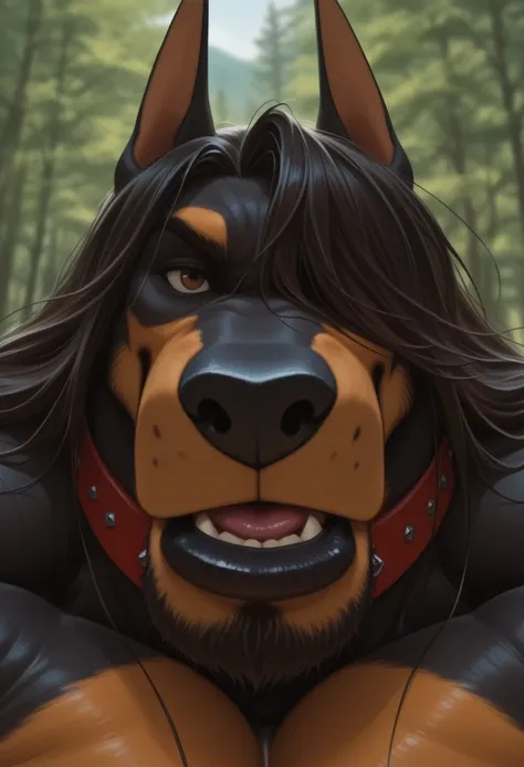 CF-Dobie (ILL)_rel_260420