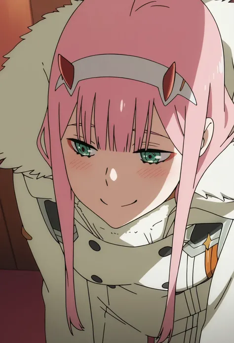 Zero Two - ダーリン・イン・ザ・フランキス (Darling in the Franxx) - 8 Outfits - Illustrious/SDXL_rel_260420