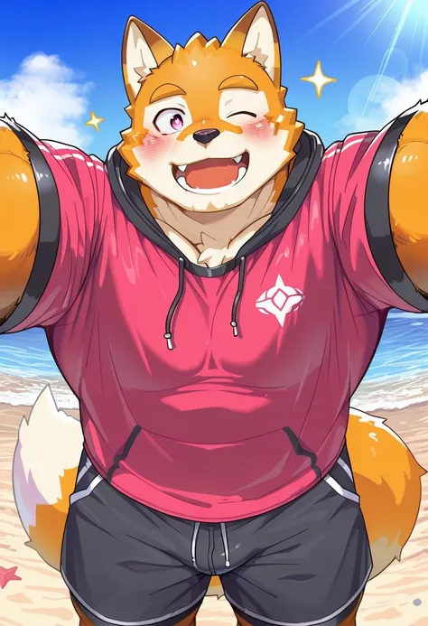 Hakashi tadamura road rovers complete edition_rel_260420