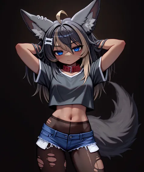 Kamiko Kana [Wolf-Dog Design] (Vtuber) | Illustrious_rel_260420