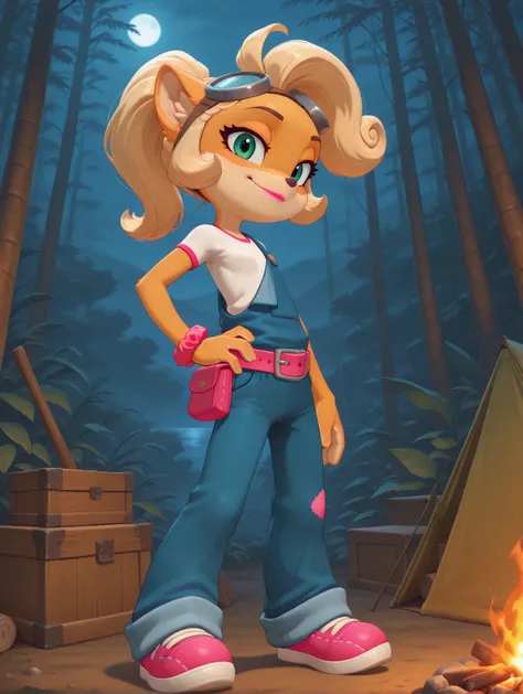 Coco & Crash Bandicoot - It's About Time (So-So Dual-Character Lora)_rel_260420