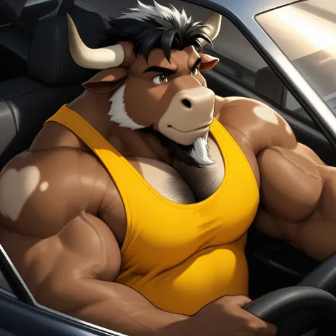 Sam - House of Beef (Braford)