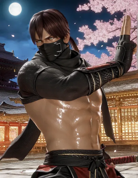 Ryu Hayabusa (Dead or Alive)