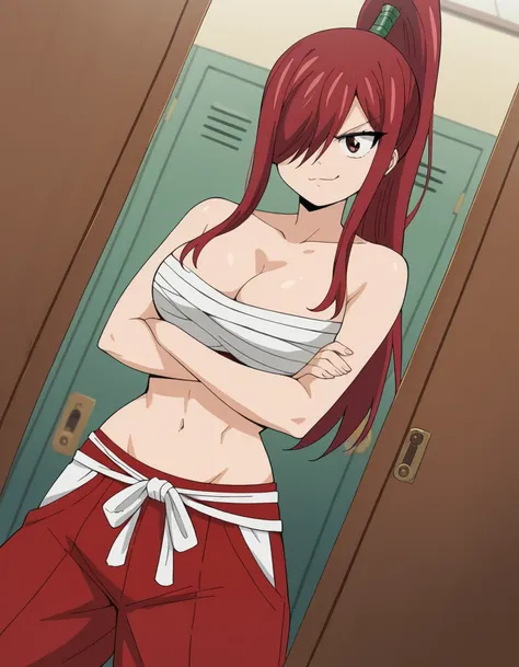 Erza Scarlet 100 Year Quest Anime 