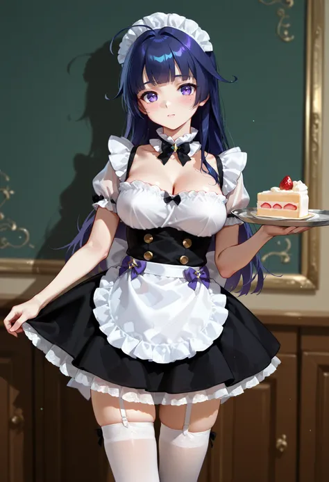 Maid Costumes - Waitress Illust