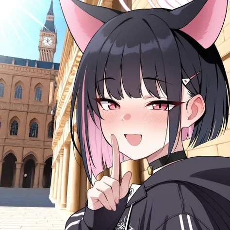 RealAnimeMix - (IllustriousXL)