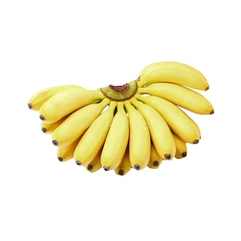 epiCRealism Bildbearbeitungstool