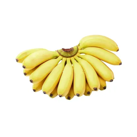 أداة تحرير الصور epiCRealism