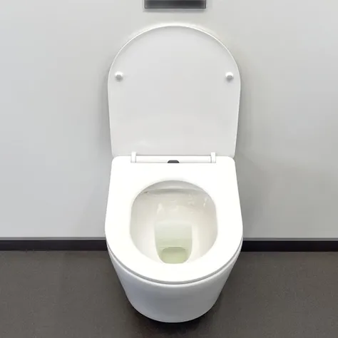 Wan 2.2 Рiss I2V M2W low i2v