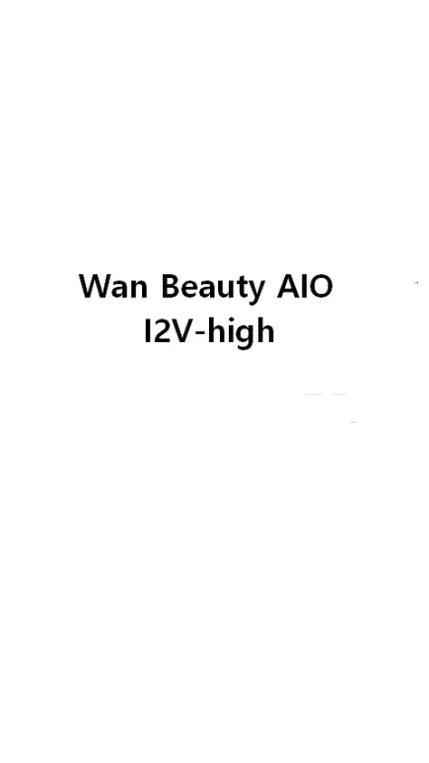 Wan Beauty AIO I2V-high