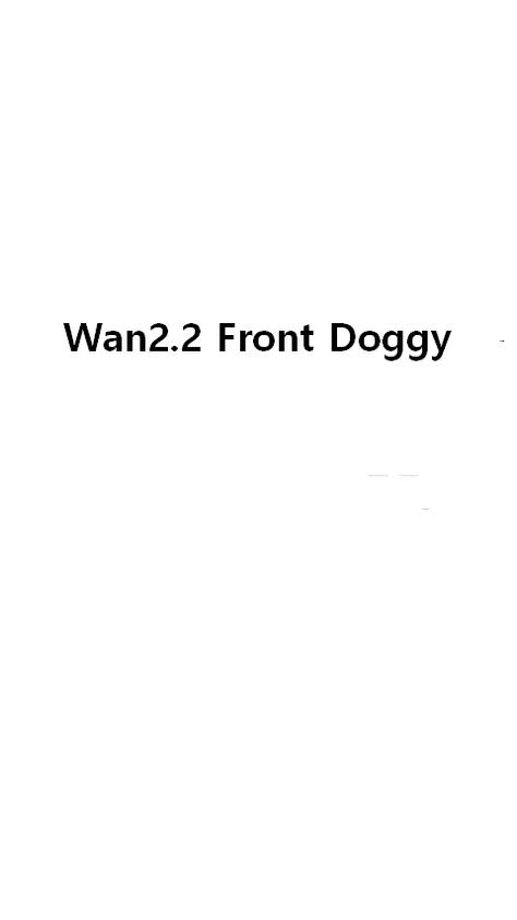 Wan2.2 Front D099y v1.0