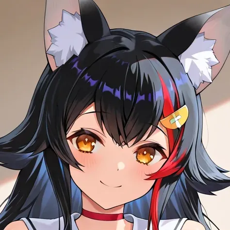 Ookami Mio (大神ミオ)